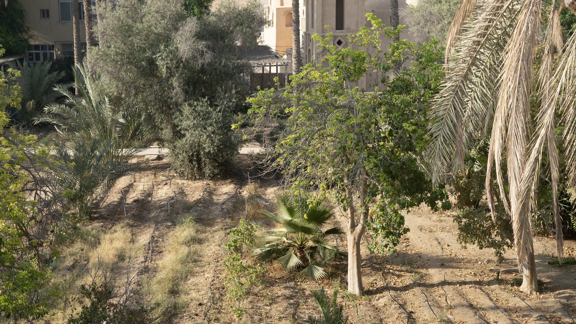 Martyrs' Well & Ancient Monastery Garden